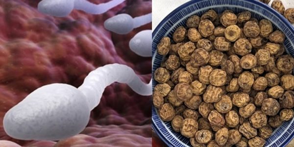 Natural Remedy That May Improve Male Fertility