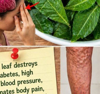 🌿 The Truth About “Miracle Leaves” for Diabetes and Blood Pressure 🌿 The Truth About “Miracle Leaves” for Diabetes and Blood Pressure