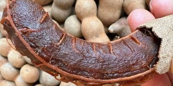 Amazing Health Benefits and Simple Ways to Enjoy It