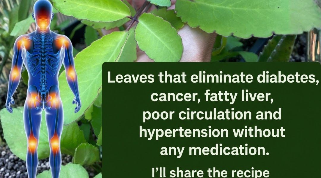 Benefits, Uses, and Important Precautions
