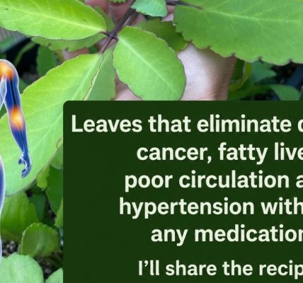 Benefits, Uses, and Important Precautions