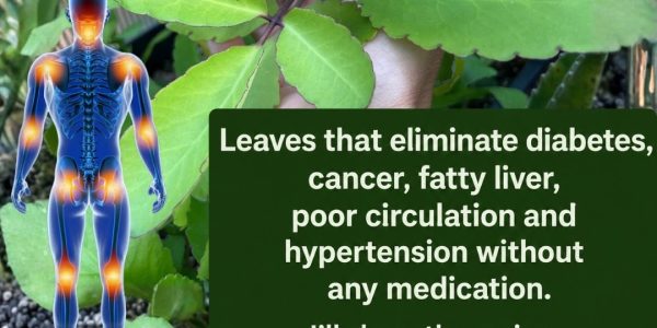 Benefits, Uses, and Important Precautions