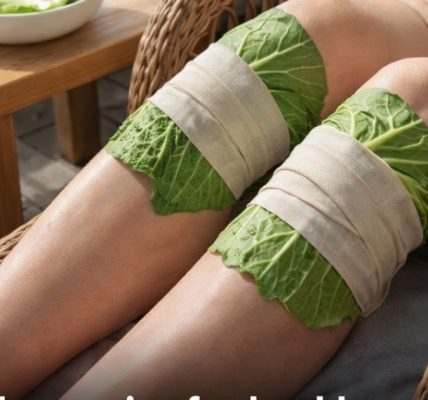 The Truth About Using Cabbage Leaves for Knee Pain Relief 🌿 The Truth About Using Cabbage Leaves for Knee Pain Relief 🌿