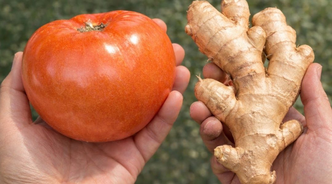 Zero Cholesterol & Anti-Inflammatory Drink: Complete Step-by-Step Recipe