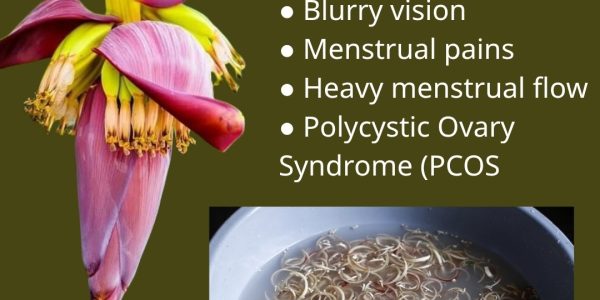 How to Use Them and Their Health Benefits