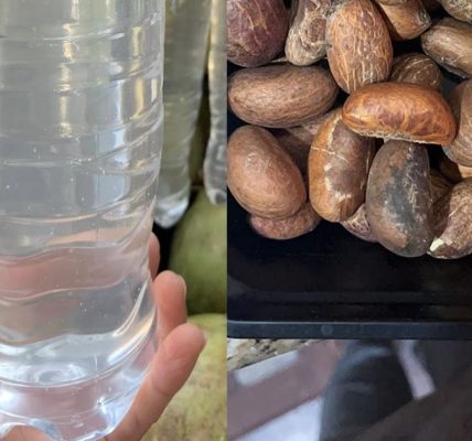 Why You Should Mix Coconut Water with Lime Juice and Bitter Kola for 7 Days