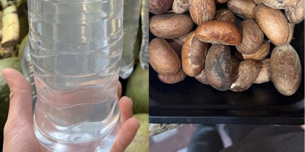 Why You Should Mix Coconut Water with Lime Juice and Bitter Kola for 7 Days