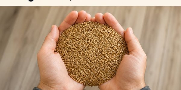 Can It Help Support Blood Sugar and Overall Health? Can It Help Support Blood Sugar and Overall Health?