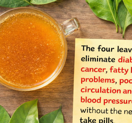 A Natural Daily Ritual for Better Wellness A Natural Daily Ritual for Better Wellness