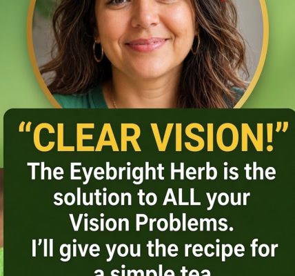 Natural Support for Eye Health Natural Support for Eye Health