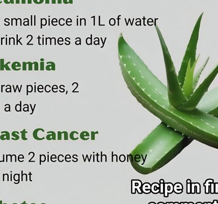 16 Health Problems That Aloe Vera Could Help Combat 16 Health Problems That Aloe Vera Could Help Combat