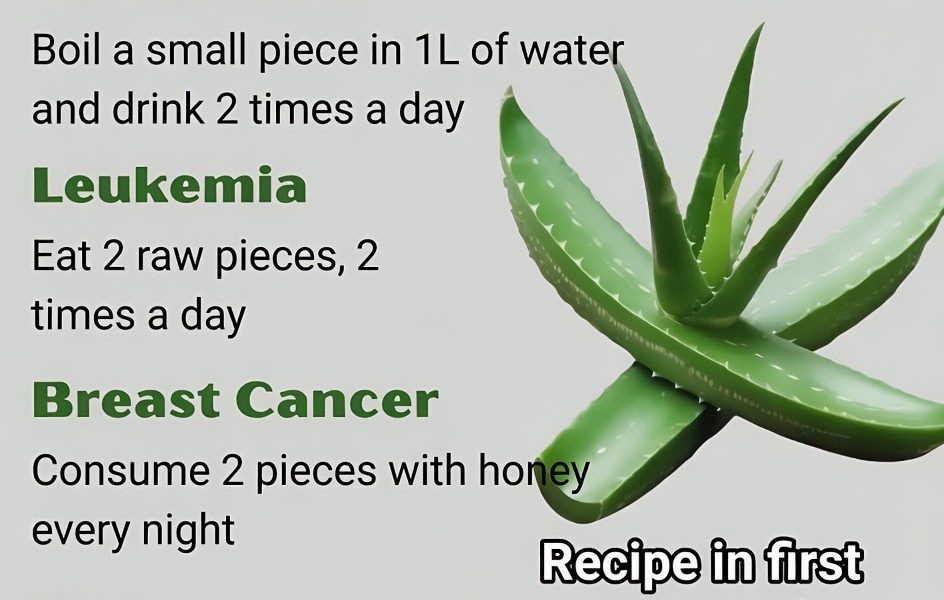 16 Health Problems That Aloe Vera Could Help Combat
