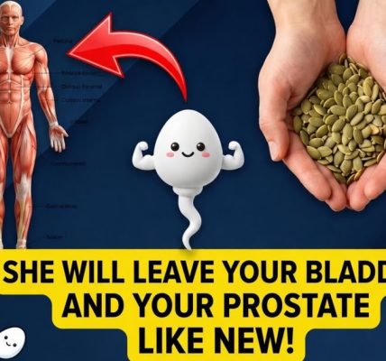 https://blogtamtu123.blogspot.com/2026/05/pumpkin-seeds-and-prostate-health.html