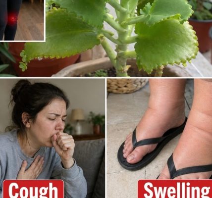 Can This Plant Naturally Improve Blood Flow? Can This Plant Naturally Improve Blood Flow?