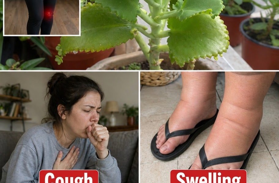Can This Plant Naturally Improve Blood Flow?