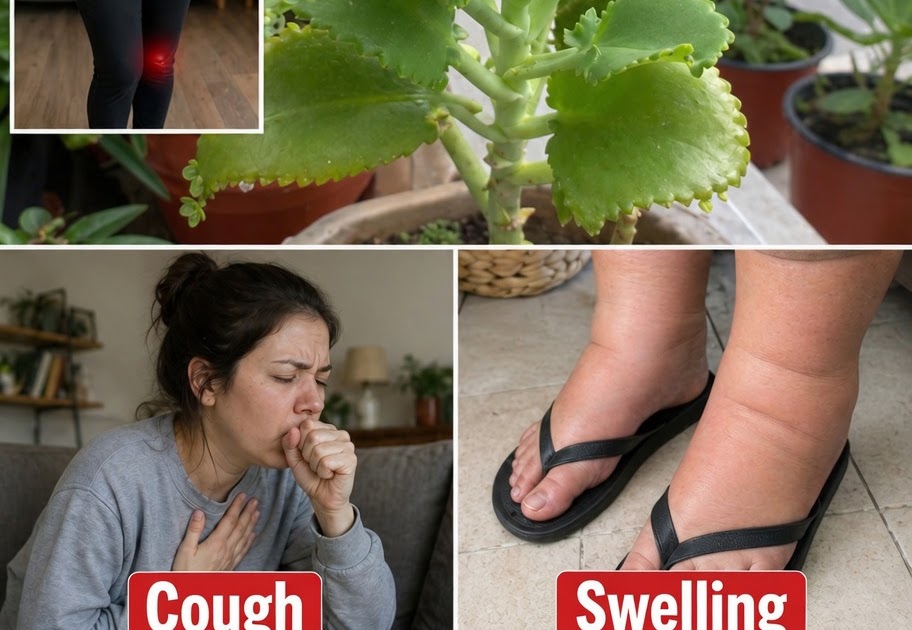 Can This Plant Naturally Improve Blood Flow? Can This Plant Naturally Improve Blood Flow?