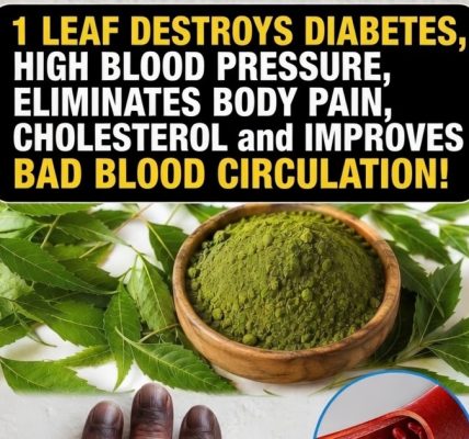 Discover the Powerful Leaf That Could Transform Your Health! 🌿💪 Discover the Powerful Leaf That Could Transform Your Health! 🌿💪