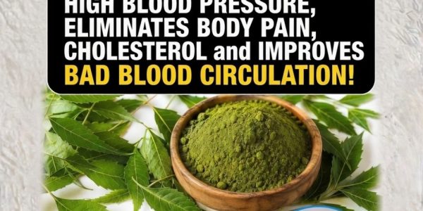 Discover the Powerful Leaf That Could Transform Your Health! 🌿💪