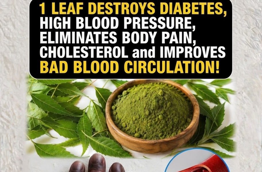Discover the Powerful Leaf That Could Transform Your Health! 🌿💪