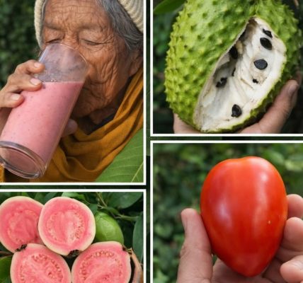 Natural Detox Juice with Soursop, Tomato, and Guava Natural Detox Juice with Soursop, Tomato, and Guava
