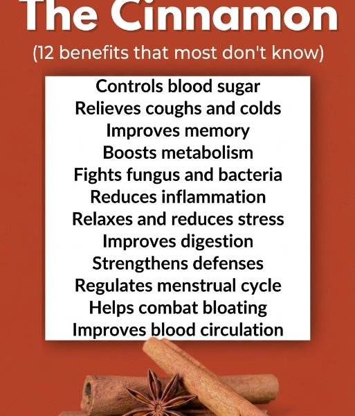 Discover Their Uses and Benefits