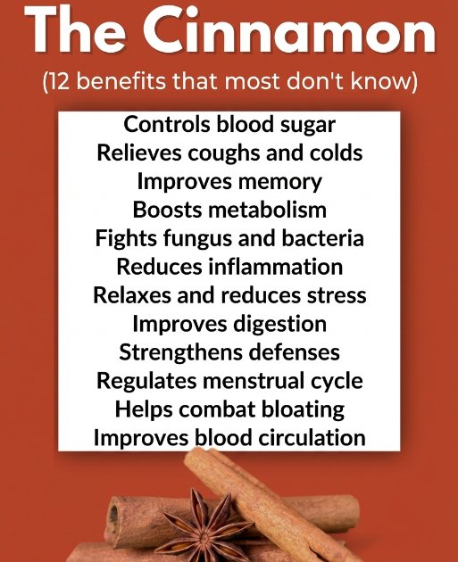 Discover Their Uses and Benefits Discover Their Uses and Benefits